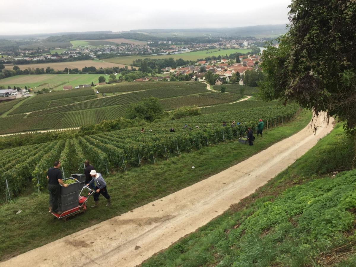 L'insouciance En Champagne *