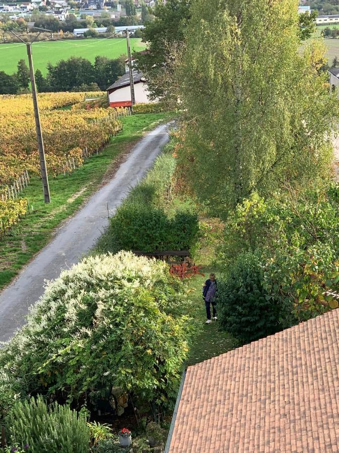 L'insouciance En Champagne Villa Vincelles (Marne)